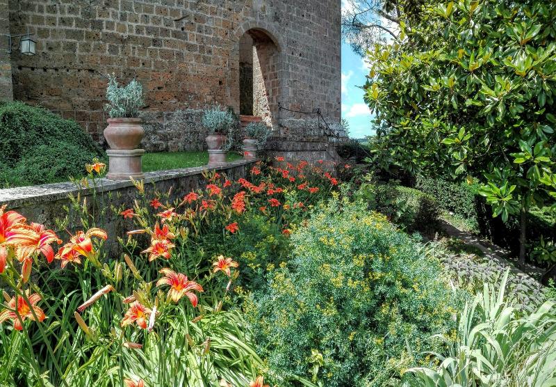 Castello Di Proceno Albergo Diffuso - Genel