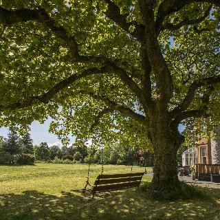 Isle Of Eriska Hotel And Spa fotoÄŸrafÄ±