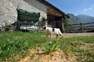 B&B Rocca di Baiedo fotoÄŸrafÄ±