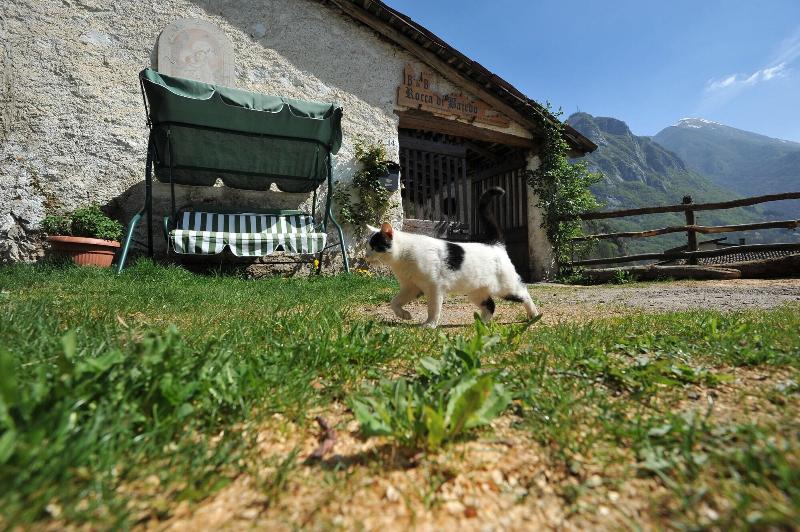 B&B Rocca di Baiedo - Genel