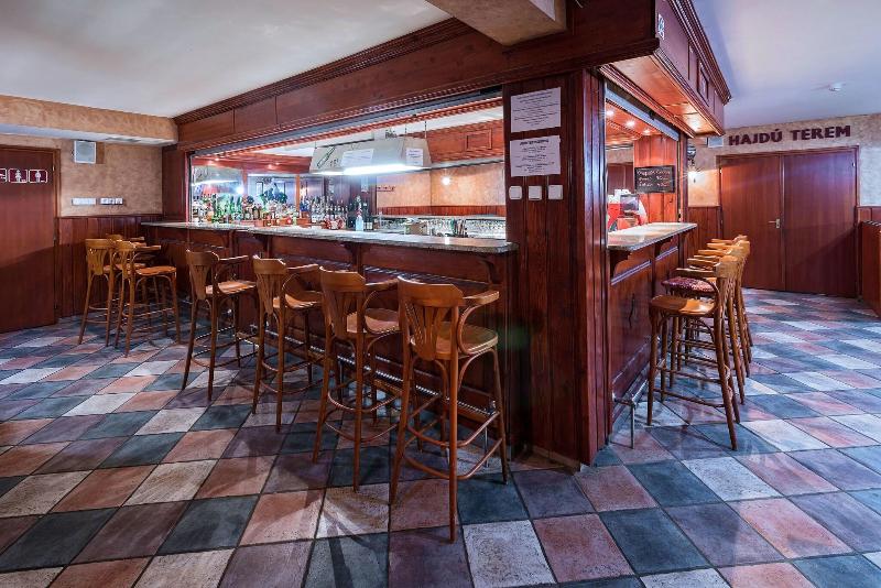 Hotel Barátság Hajdúszoboszló Superior - Bar