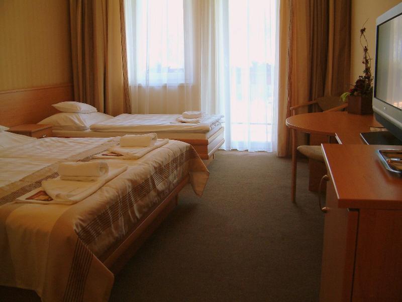 Granada Konferencia Wellness Sport Hotel - Oda