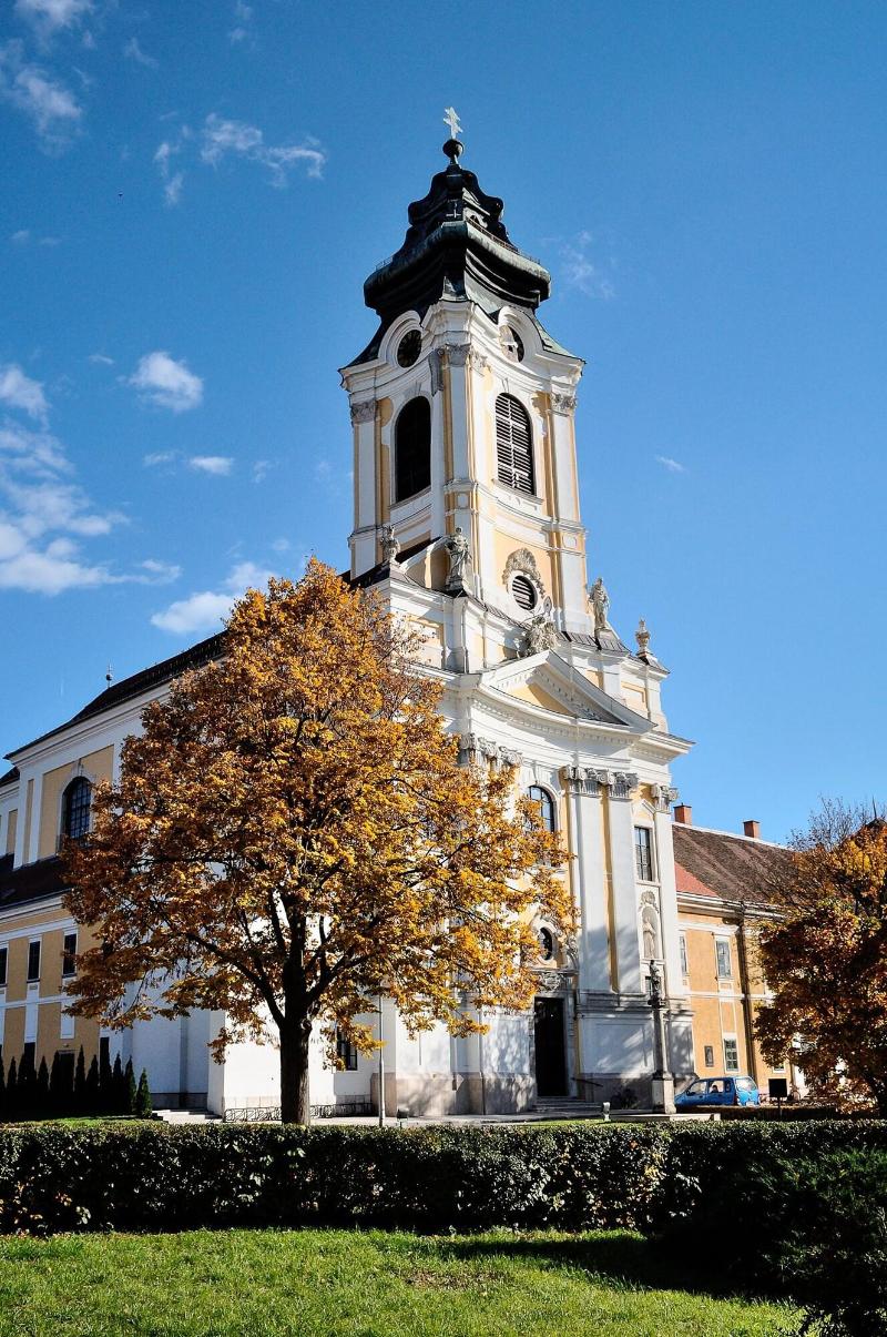 Gotthard Therme Hotel & Conference - Genel