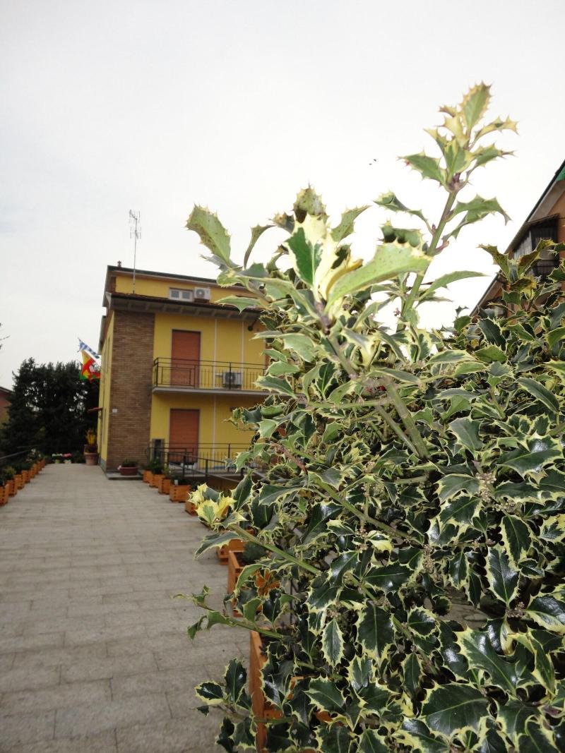 Pavia Ostello - Genel