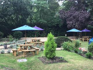Le Chateau otel fotoğrafı