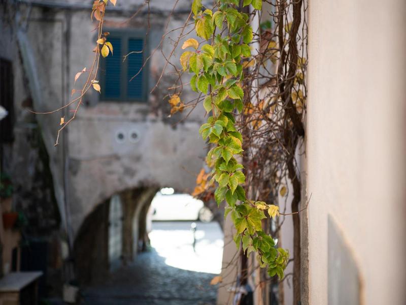 Borgo Vistalago - Genel