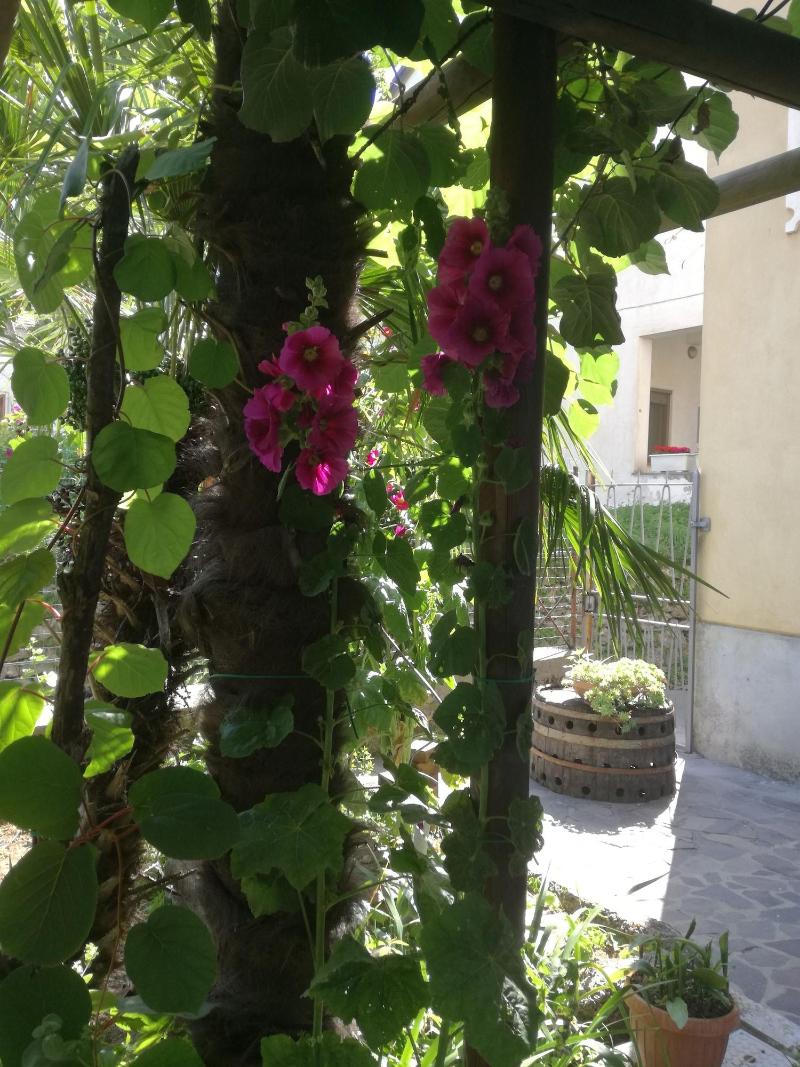 Hotel Gentile - Genel