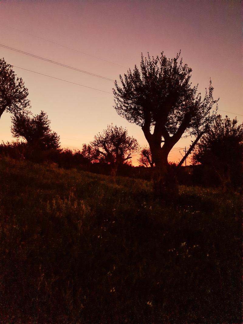 Terre Di Romanello Relais In Val Di Noto - Genel