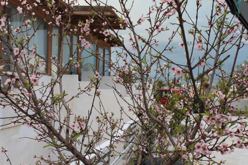 B&B Palazzo Manfredi Vieste - Genel