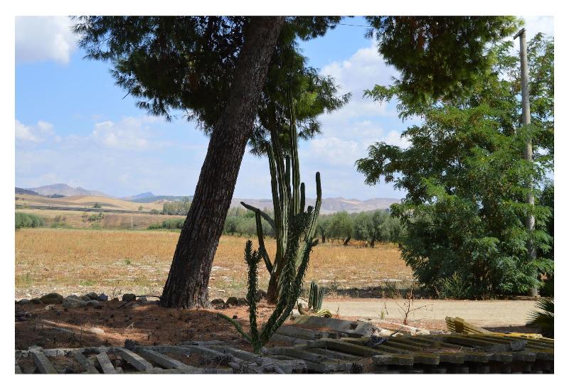 B&B Stazione Dittaino - Genel