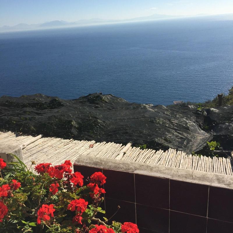 B&B I Limoni - Genel