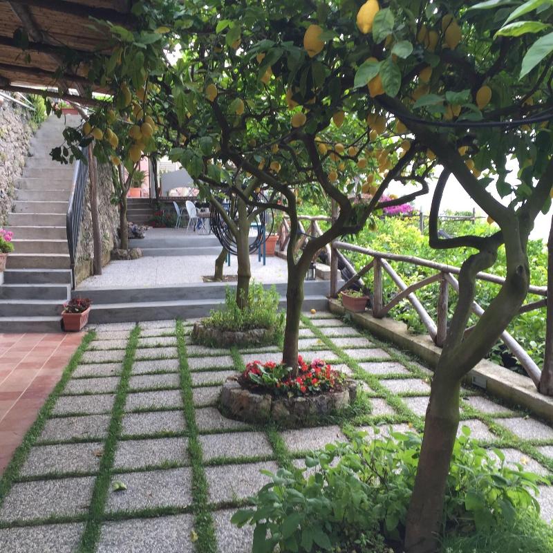 B&B I Limoni - Genel