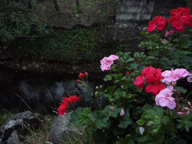 Albergo Il Giardino Del Rio - Genel