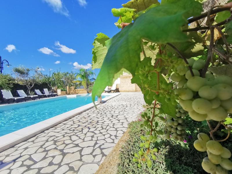 Villa B&B Antiche Macine del Salento - Aktivite