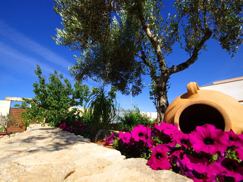 Villa B&B Antiche Macine del Salento - Genel