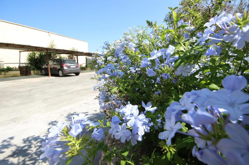 Villa B&B Antiche Macine del Salento - Teras