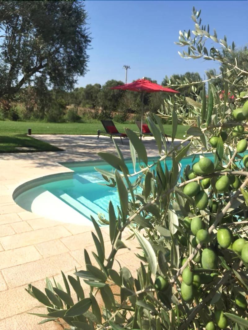 Masseria Li Reni - Aktivite