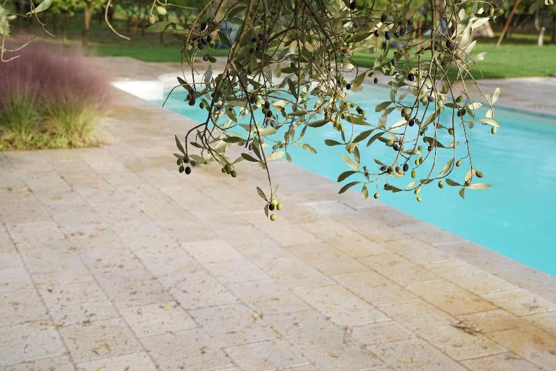 Masseria Li Reni - Aktivite