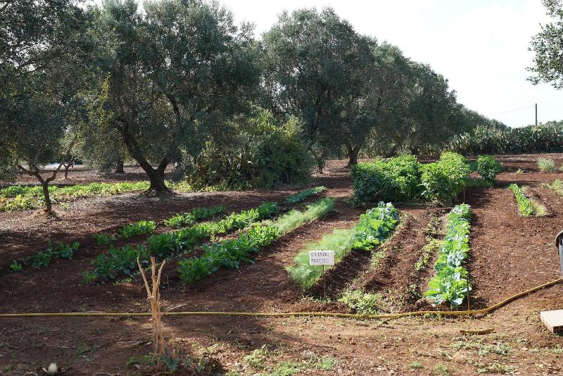 Masseria Li Reni - Genel