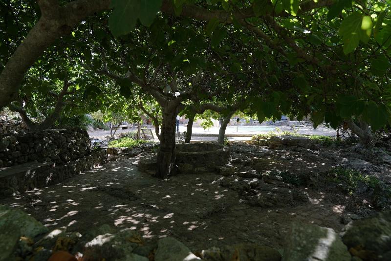 Masseria Li Reni - Genel