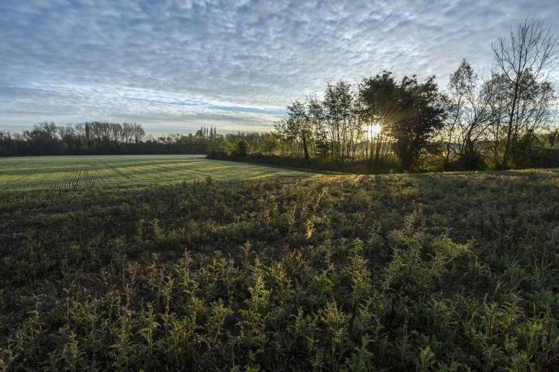 Bed And Breakfast Sile E Natura - Genel