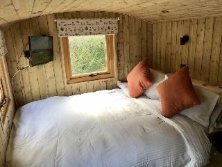Highland Bear Lodge & Luxury Bear Huts fotoÄŸrafÄ±