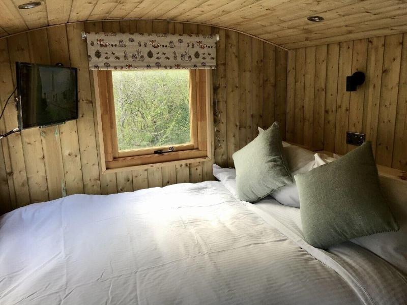 Highland Bear Lodge & Luxury Bear Huts - Lobi
