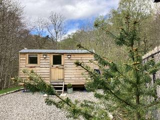 Highland Bear Lodge & Luxury Bear Huts fotoÄŸrafÄ±