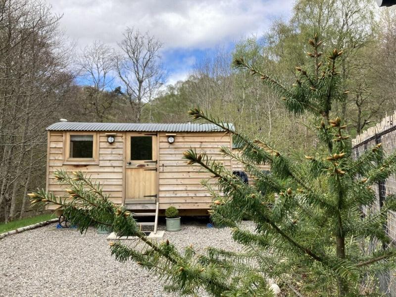 Highland Bear Lodge & Luxury Bear Huts - Aktivite
