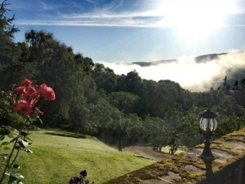 Highland Bear Lodge & Luxury Bear Huts - Genel