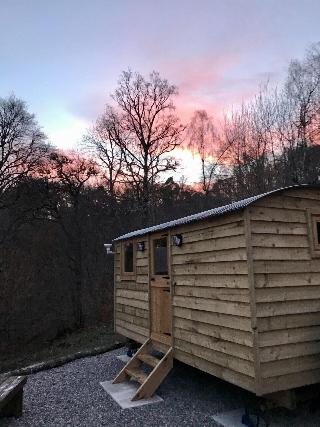 Highland Bear Lodge & Luxury Bear Huts fotoÄŸrafÄ±