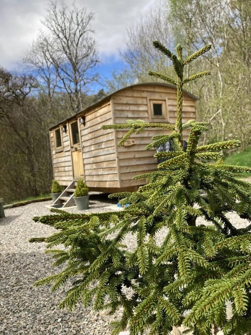 Highland Bear Lodge & Luxury Bear Huts - Genel