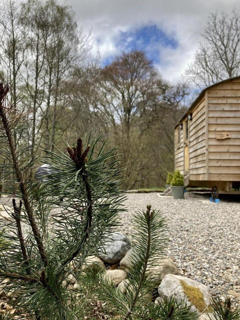 Highland Bear Lodge & Luxury Bear Huts - Genel