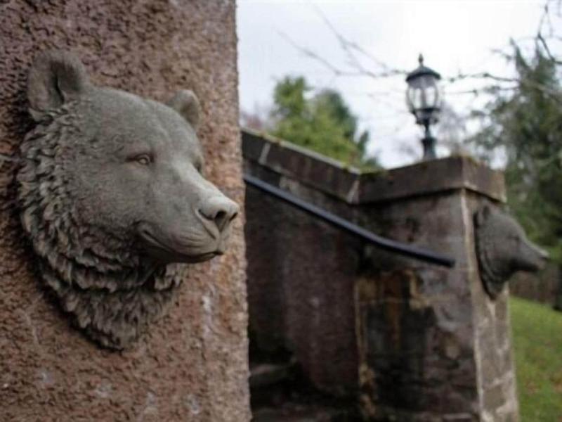 Highland Bear Lodge & Luxury Bear Huts - Genel