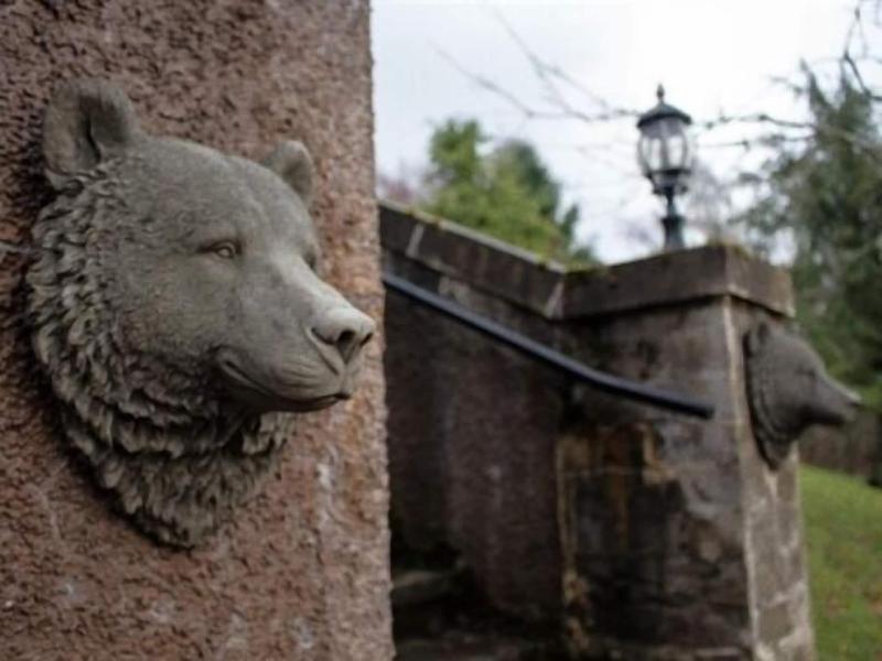 Highland Bear Lodge & Luxury Bear Huts - Genel