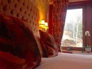 Highland Bear Lodge & Luxury Bear Huts fotoÄŸrafÄ±