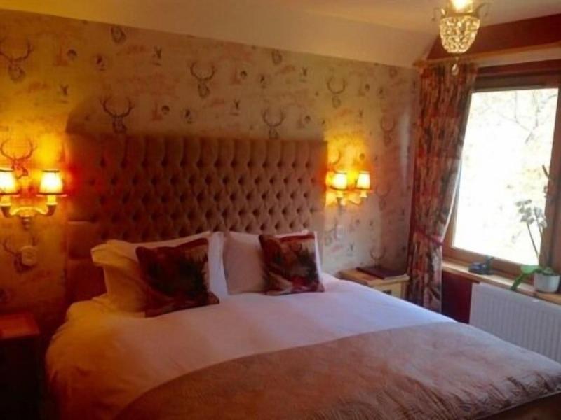Highland Bear Lodge & Luxury Bear Huts - Oda