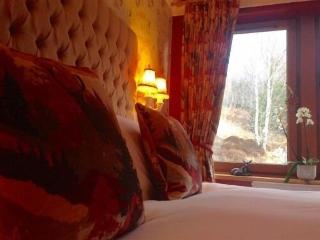 Highland Bear Lodge & Luxury Bear Huts fotoÄŸrafÄ±