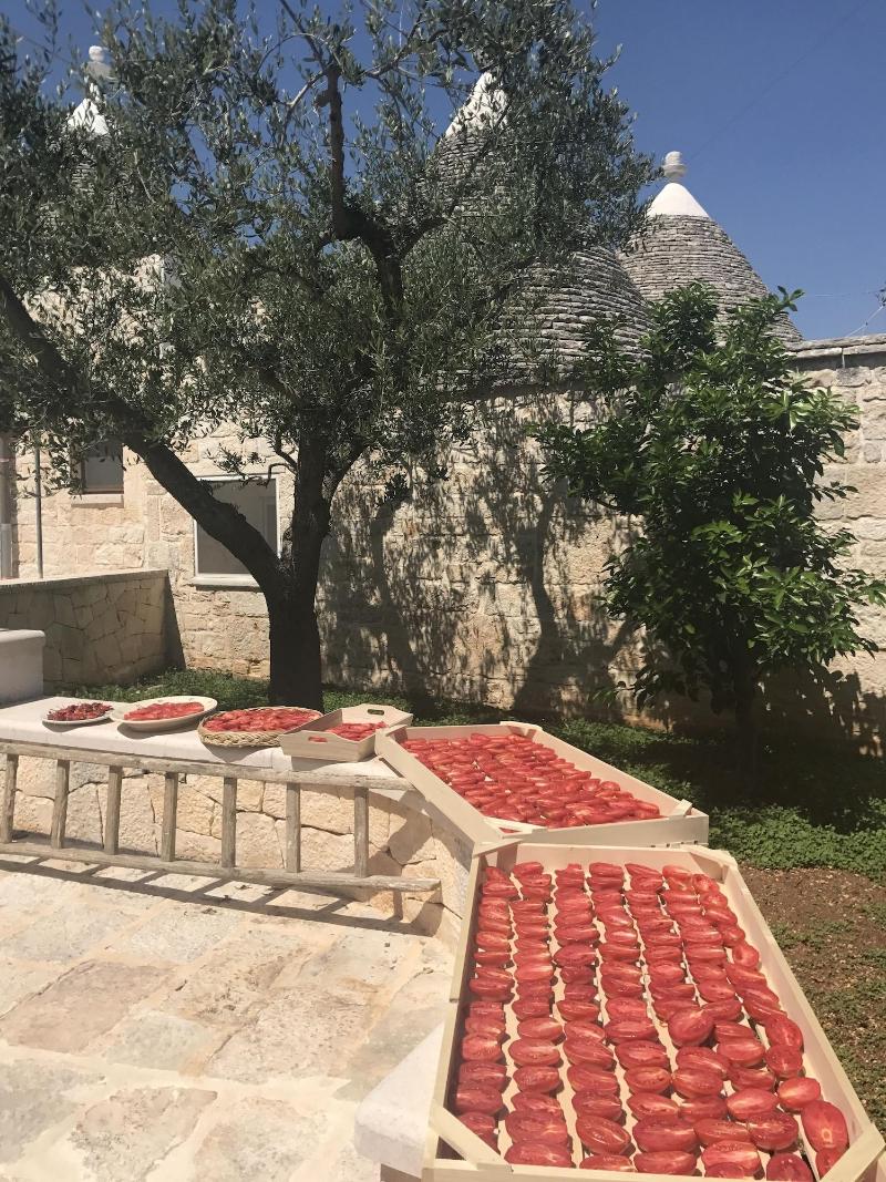 Trullo Monte Olimpo 5 - Genel