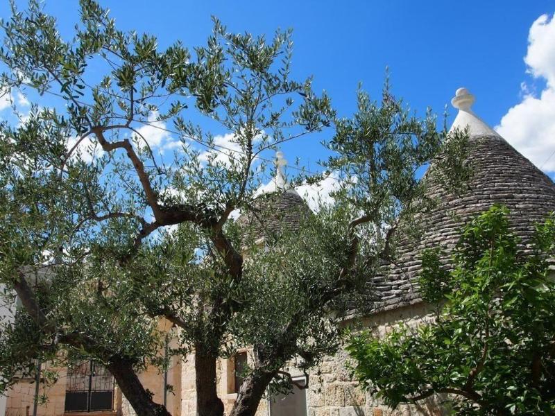 Trullo Monte Olimpo 5 - Genel