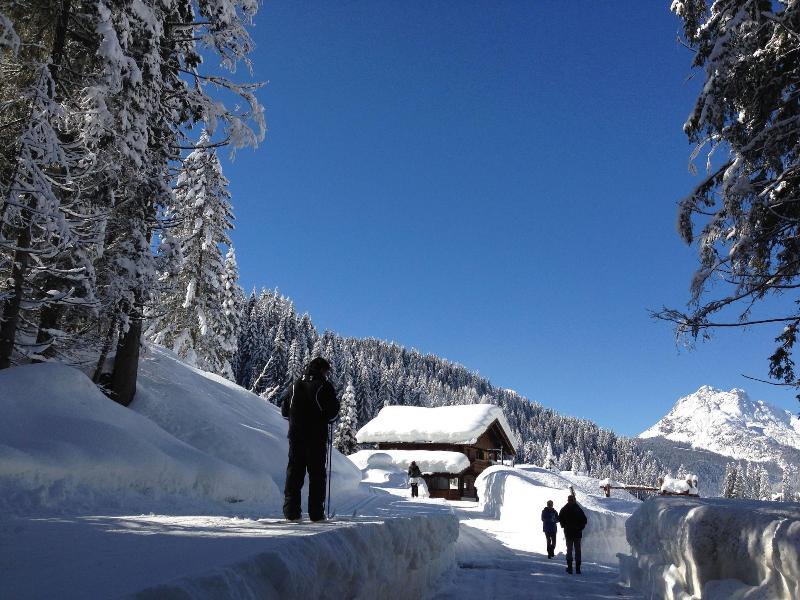 Alpin Haus - Aktivite