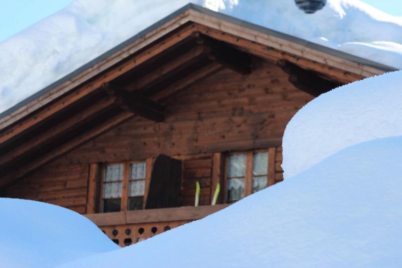 Alpin Haus - Genel