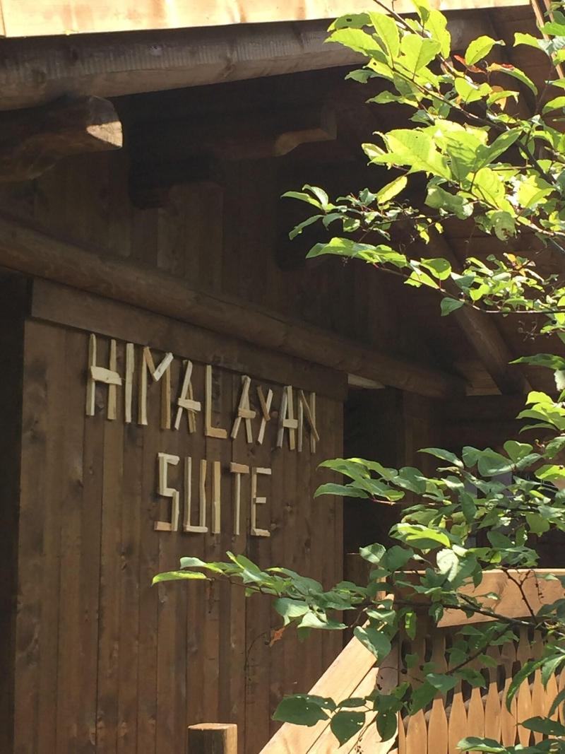 Alpin Haus - Oda