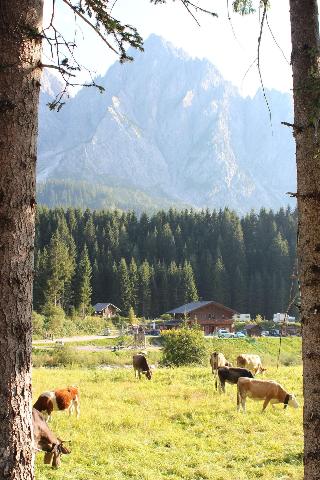 Alpin Haus fotoÄŸrafÄ±