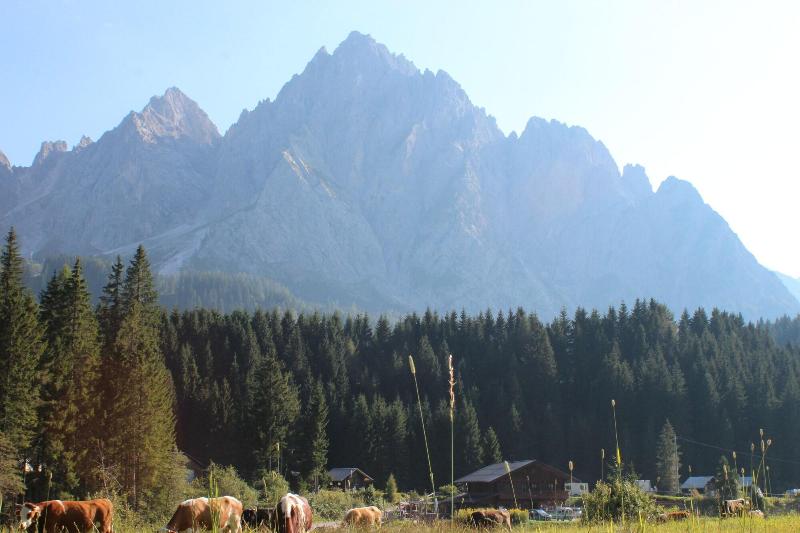 Alpin Haus - Oda