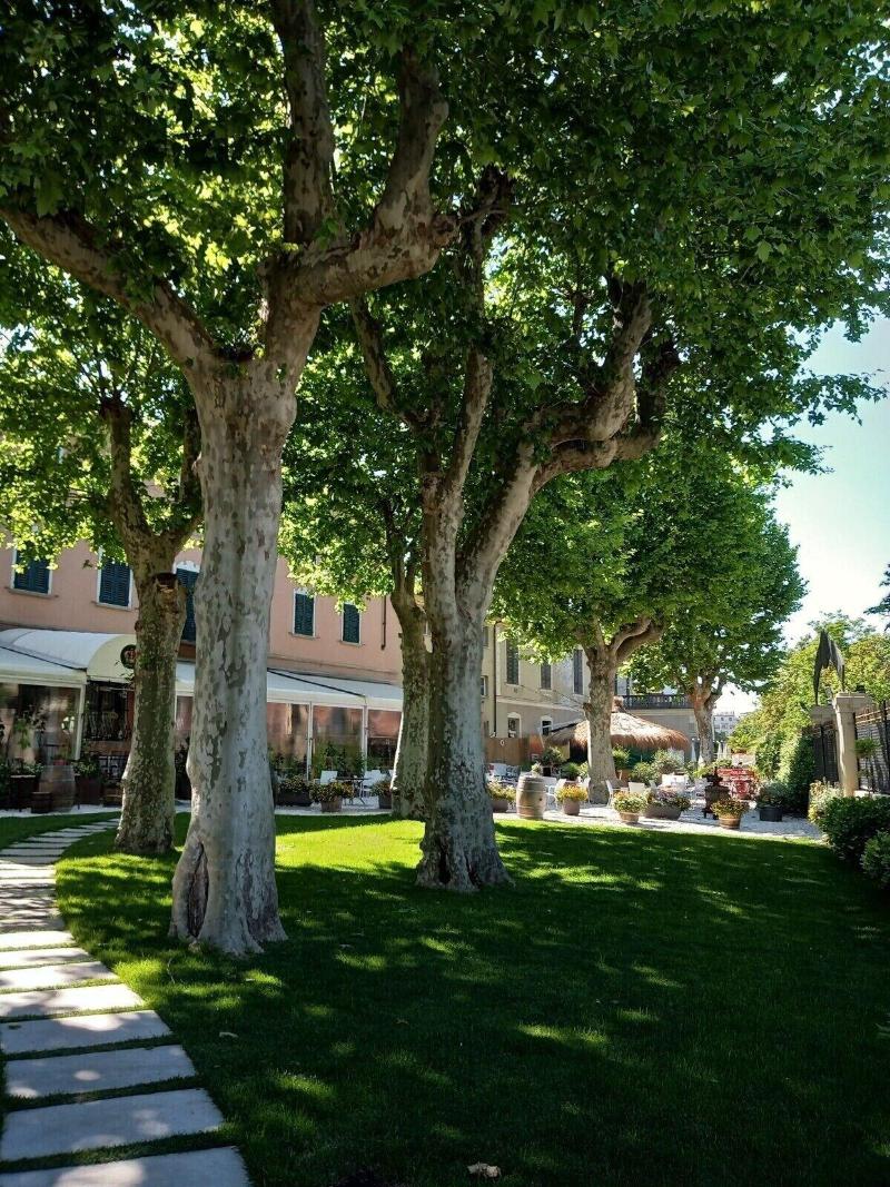 Ristorante Albergo Corona - Genel