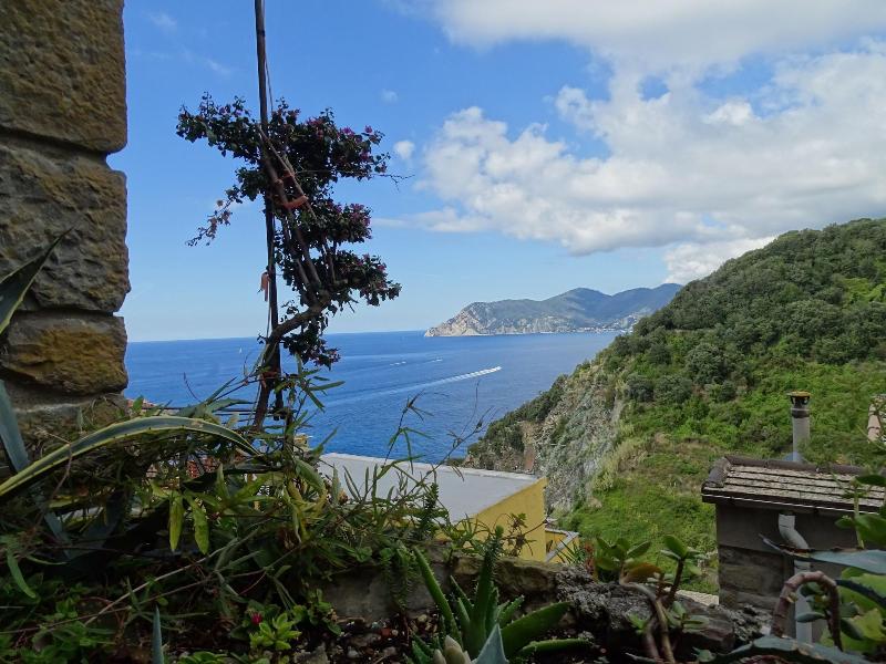 il Magàn - Cinque Terre - Bar