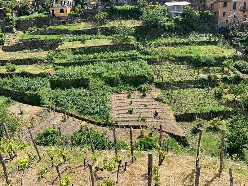 il Magàn - Cinque Terre - Aktivite