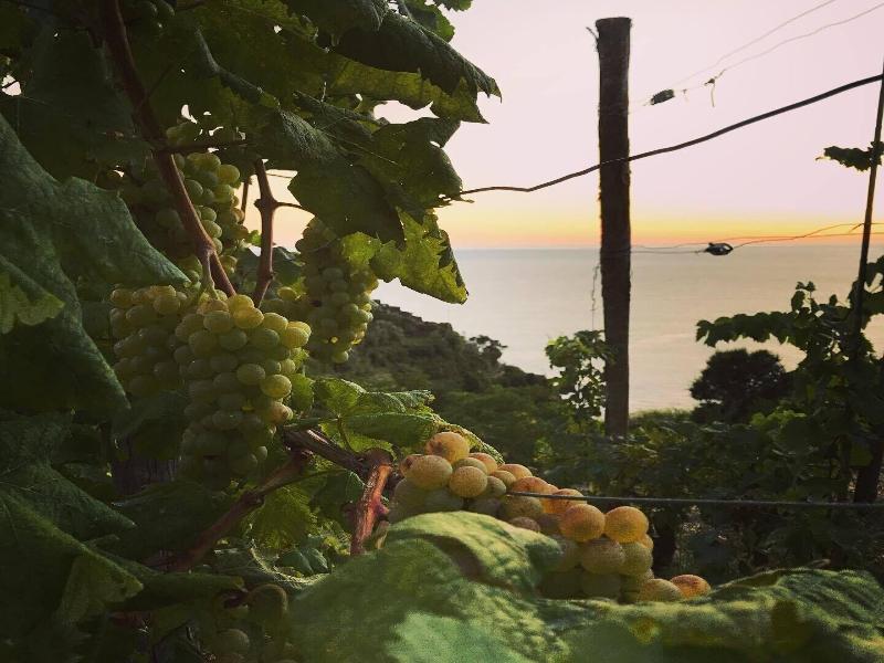 il Magàn - Cinque Terre - Aktivite