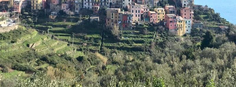il Magàn - Cinque Terre - Genel